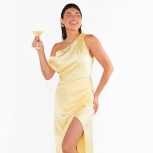 Show Me Your Mumu Jodie Dress (L)